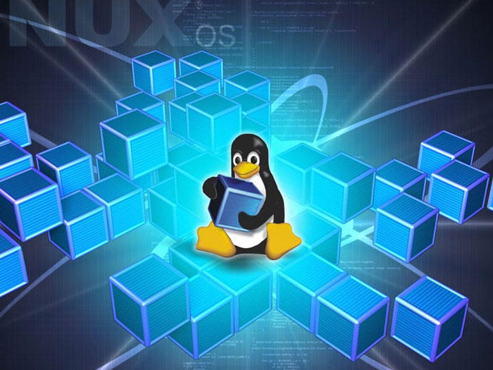 Linux, un sistema compacto para su empresa